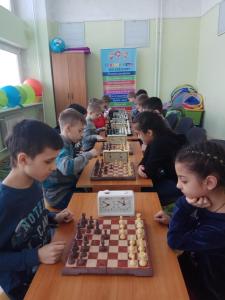 1-шах-турнир-5